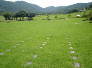 Coroa de Flores Cemitério Parque Bosque da Esperança (Belo Horizonte/MG)